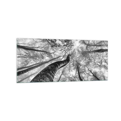Quadro su vetro - Prospettiva degli alberi in una foresta visti dal basso in tonalità di grigio - 120x50cm - La corsa verso la luce - Decorazione murale moderna per soggiorno e camera da letto ARTTOR