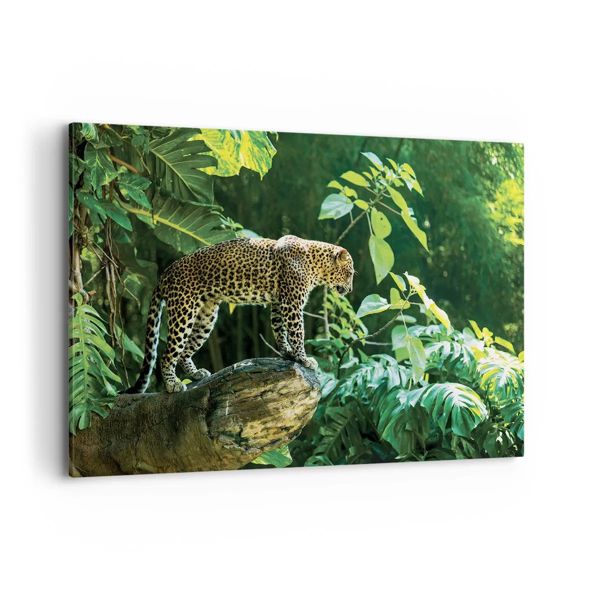 Quadro su tela - Stampe su Tela - Un leopardo in piedi su una roccia circondato da vegetazione tropicale - 100x70cm - A caccia? - Decorazione murale moderna per soggiorno e camera da letto ARTTOR