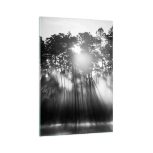 Quadro su vetro - Foresta bianca e nera nella nebbia mattutina - 70x100cm - Sole irrefrenabile - Decorazione murale moderna per soggiorno e camera da letto ARTTOR