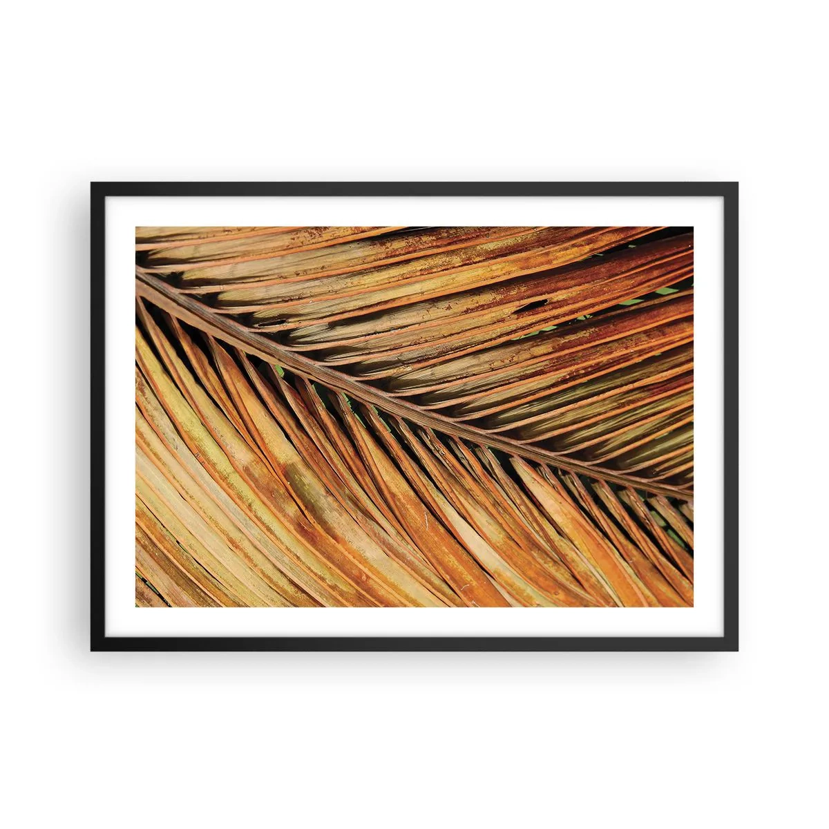 Poster in cornice nera - Primo piano di una foglia di palma secca in toni caldi - 70x50cm - Oro di cocco - Decorazione murale moderna per soggiorno e camera da letto ARTTOR
