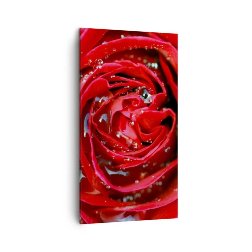 Quadro su tela - Stampe su Tela - Nelle gocce della rugiada - 45x80 cm