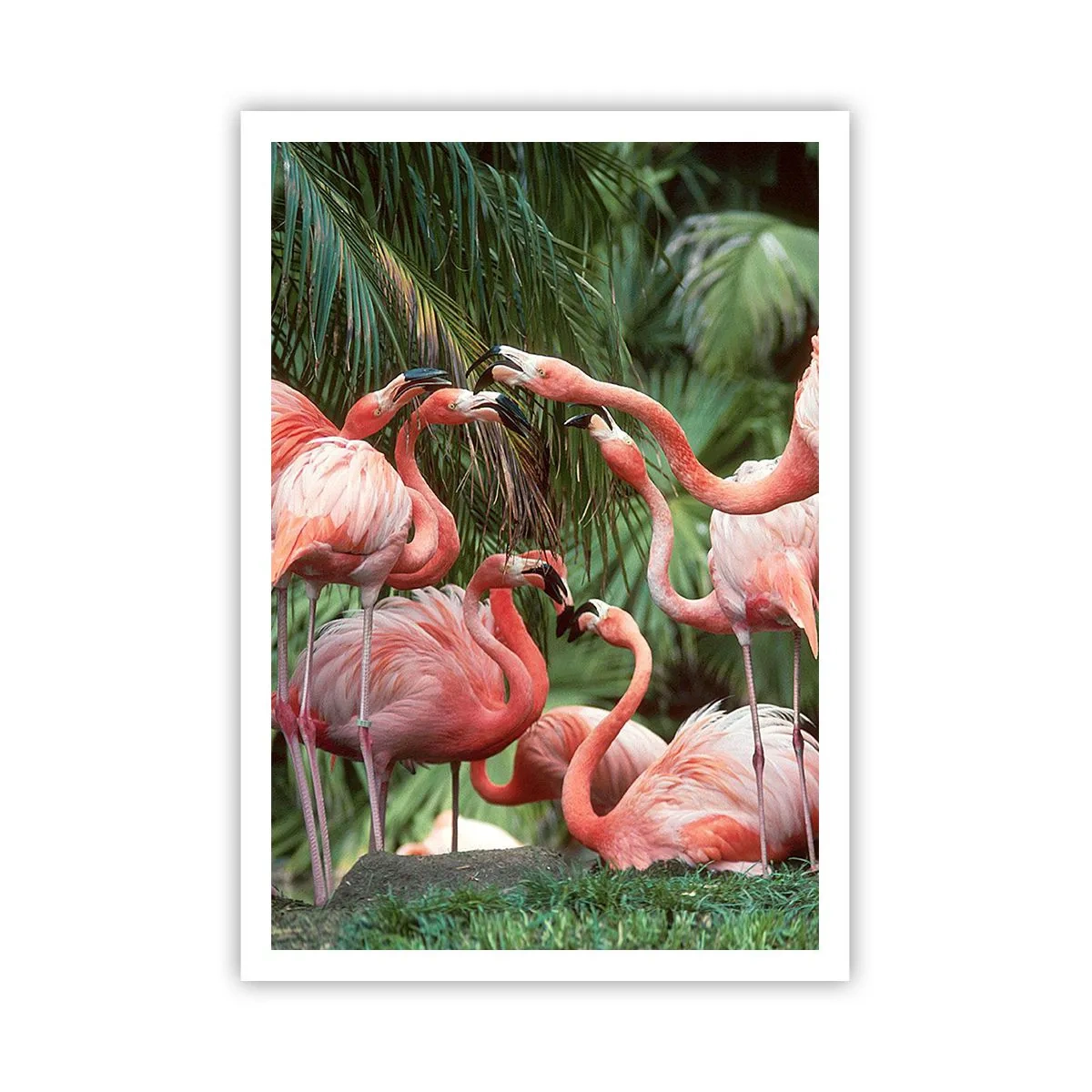 Poster - Pettegolezzi pomeridiani - 70x100 cm
