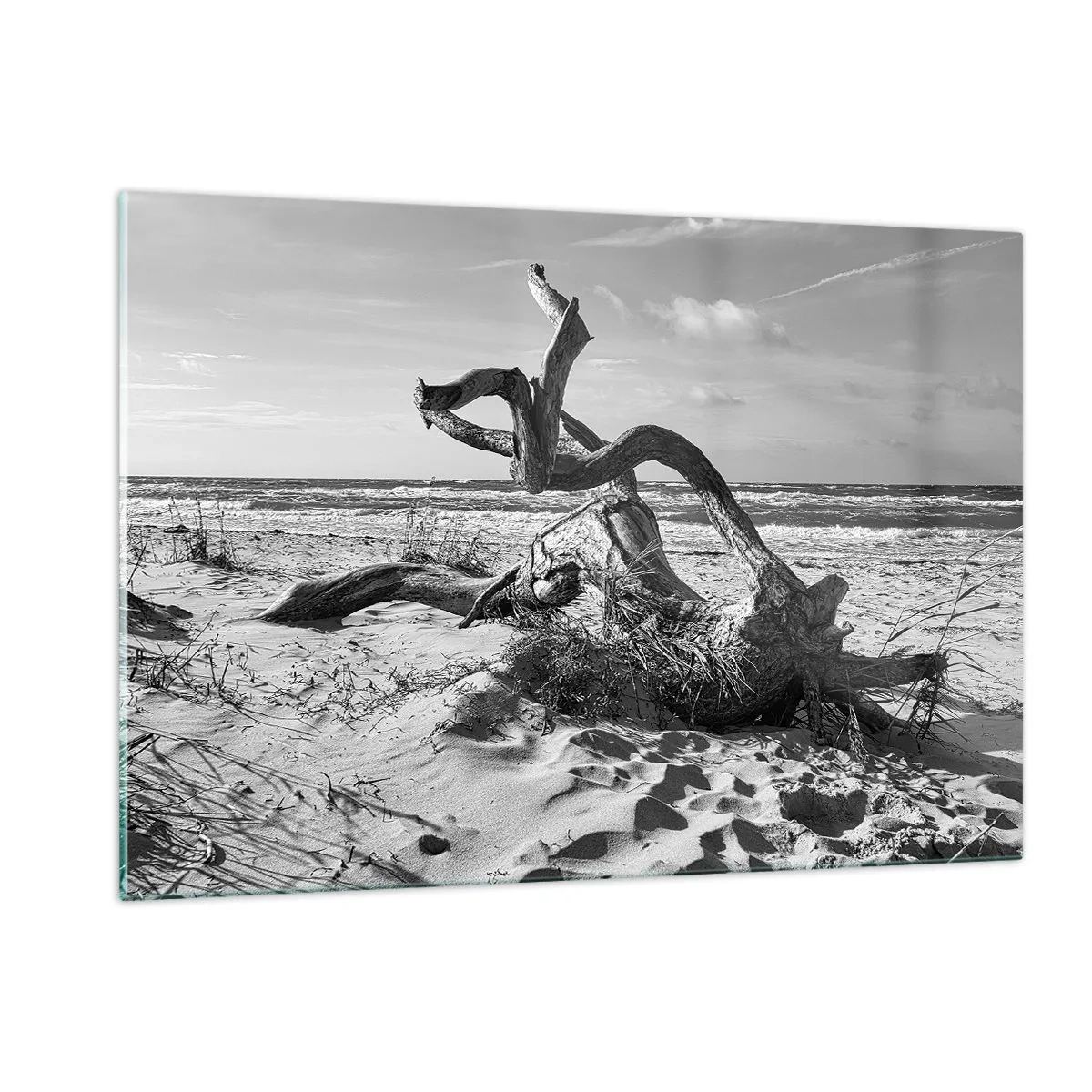Quadro su vetro - Un paesaggio in bianco e nero con un ramo caduto su una spiaggia in riva al mare. - 120x80cm - Scolpito dal mare - Decorazione murale moderna per soggiorno e camera da letto ARTTOR