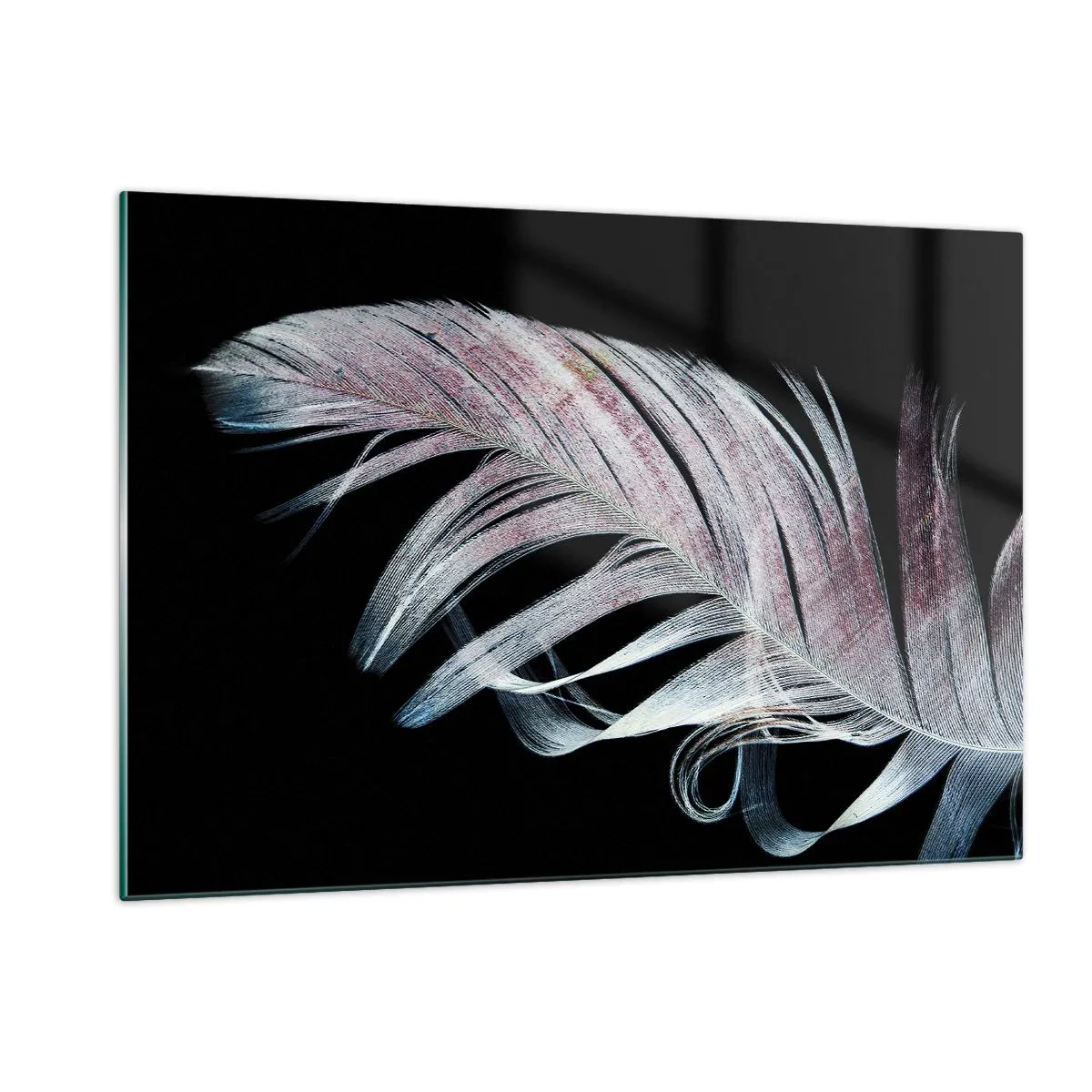 Quadro su vetro - Una piuma delicata su uno sfondo nero in un approccio artistico - 120x80cm - Pensa al tocco - Decorazione murale moderna per soggiorno e camera da letto ARTTOR
