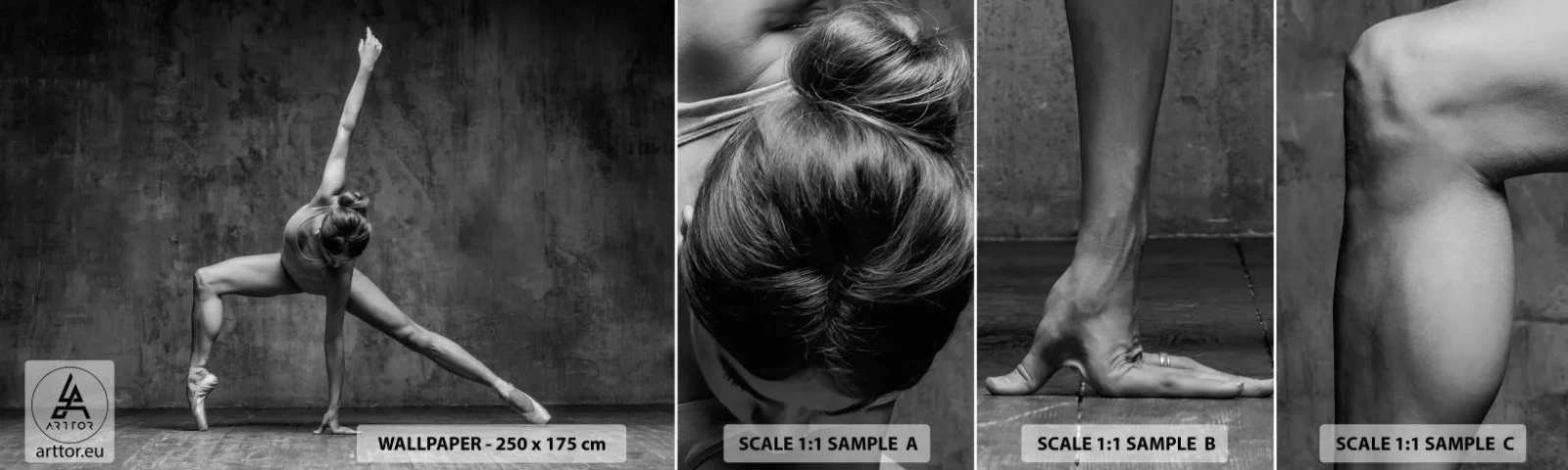 Campione Di Fotomurale Standard Eco - Ideale di equilibrio - Ginnastica, Balletto, Danza - 100x30 cm