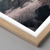 Rovere chiaro