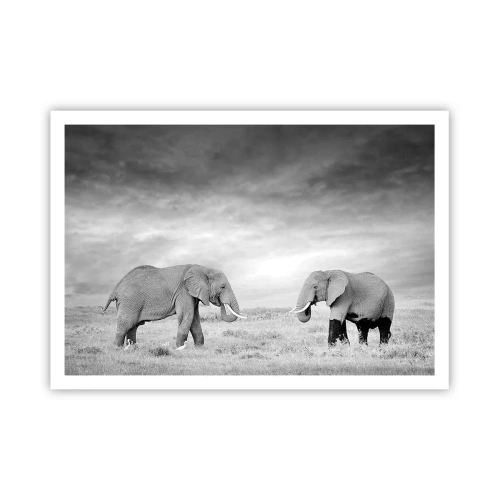 Poster - Due elefanti sullo sfondo della savana africana - 100x70cm - Grigio è bello - Decorazione murale moderna per soggiorno e camera da letto ARTTOR