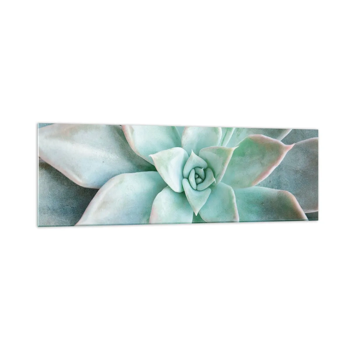 Quadro su vetro - Primo piano di una succulenta verde - 160x50cm - Il cuore del deserto - Decorazione murale moderna per soggiorno e camera da letto ARTTOR