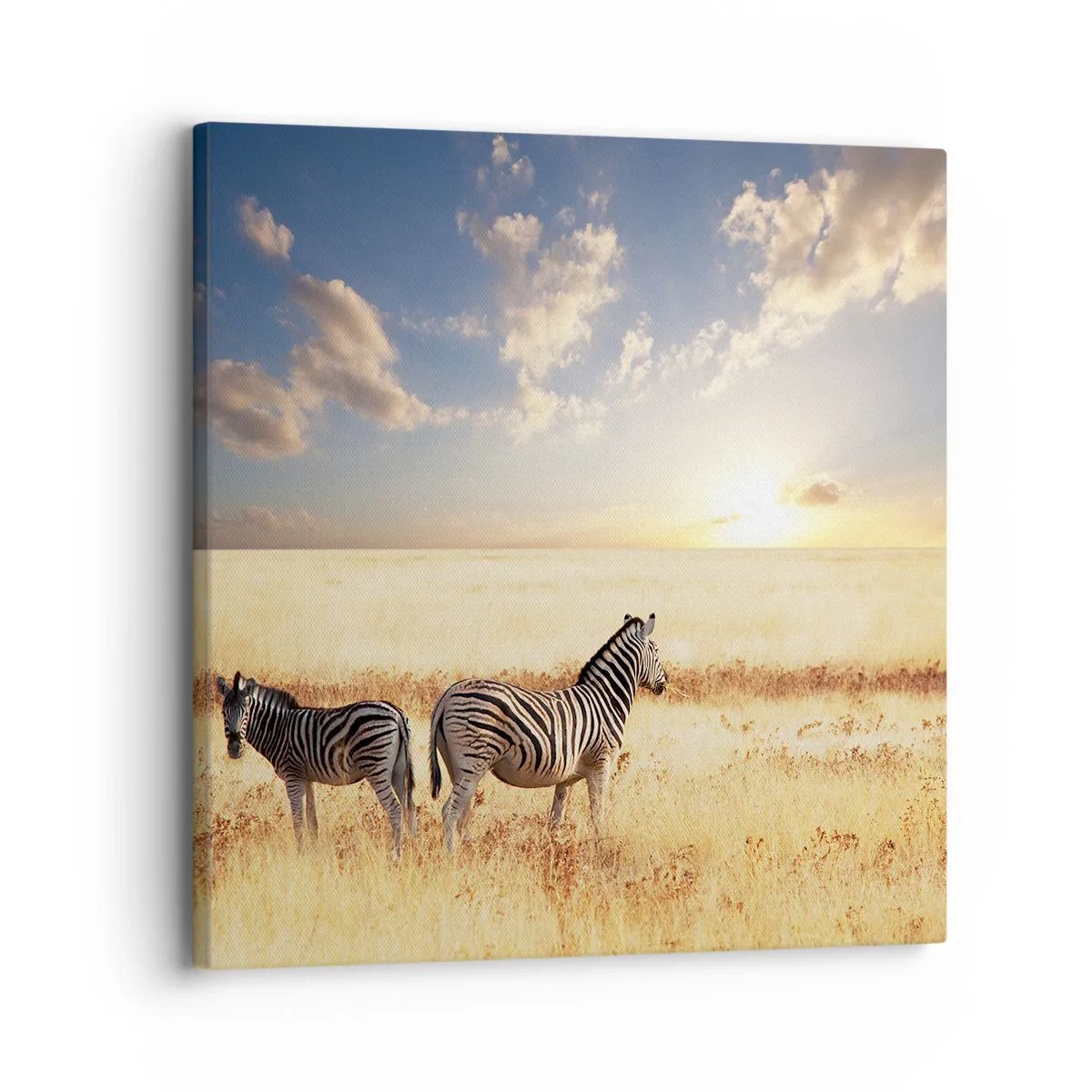 Quadro su tela - Stampe su Tela - Allontanati, non disturbare - 30x30 cm