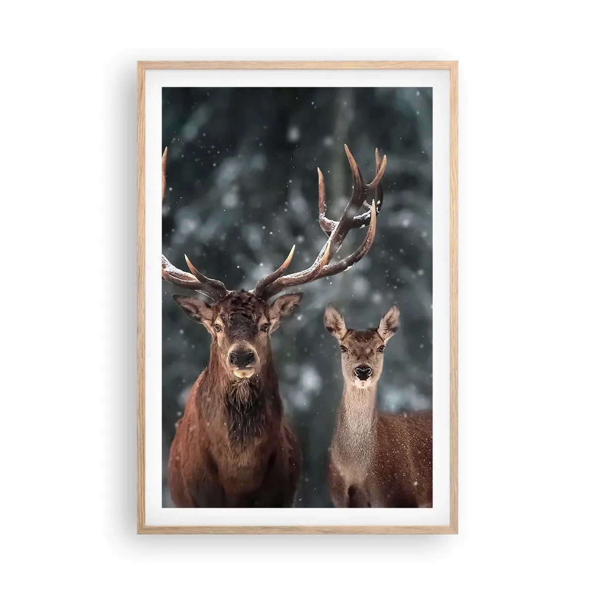 Poster in cornice rovere chiaro - Il re della foresta con la consorte - 61x91 cm
