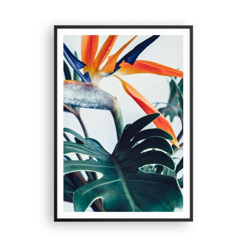 Poster in cornice nera - Pianta uccello - 70x100 cm