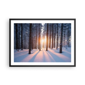 Poster in cornice nera - Foresta invernale illuminata dai raggi del sole - 70x50cm - Decisamente nero su bianco - Decorazione murale moderna per soggiorno e camera da letto ARTTOR