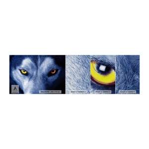 Campione di Fotomurale Premium Canvas - Sguardo ipnotico - Animali, Lupo, Occhi - 100x30 cm
