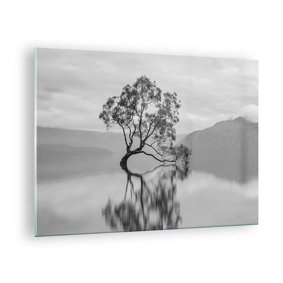 Quadro su vetro - Un albero solitario sull'acqua in un paesaggio in bianco e nero - 70x50cm - C'è un paese così - Decorazione murale moderna per soggiorno e camera da letto ARTTOR