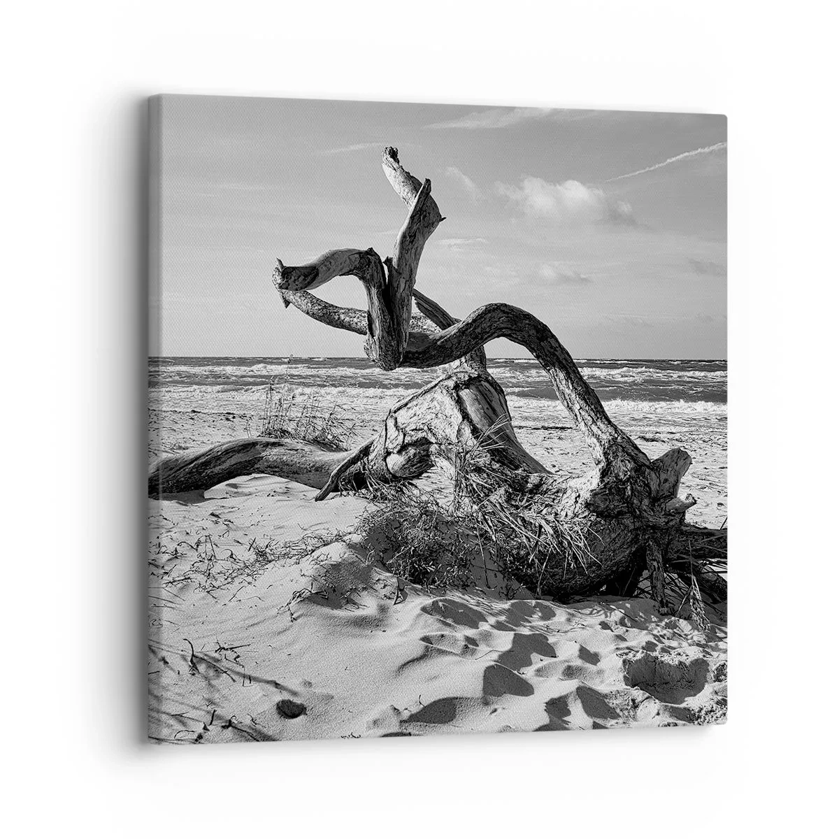 Quadro su tela - Stampe su Tela - Scolpito dal mare - 30x30 cm