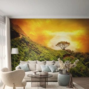 Fotomurali Premium Sand - Colline di tè verde al tramonto - 100x70cm - Sentiero tortuoso, pendio verde - Decorazione murale moderna per soggiorno e camera da letto ARTTOR