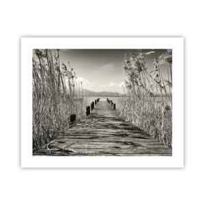 Poster - Nel silenzio dell'erba - 50x40 cm