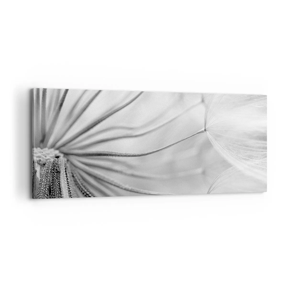 Quadro su tela - Stampe su Tela - Delicati denti di leone nei toni del bianco e del nero - 120x50cm - Denti di leone, aquiloni - Decorazione murale moderna per soggiorno e camera da letto ARTTOR