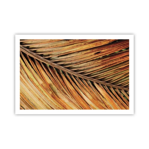 Poster - Oro di cocco - 91x61 cm