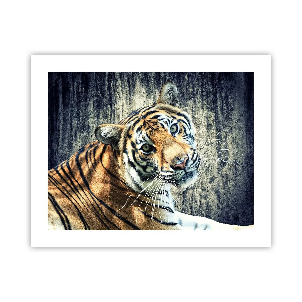 Poster - Ritratto nei flussi di luce - 50x40 cm