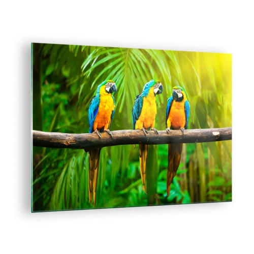 Quadro su vetro - Tre pappagalli ara su un ramo in una foresta tropicale - 70x50cm - Hai sentito che ha fatto? - Decorazione murale moderna per soggiorno e camera da letto ARTTOR