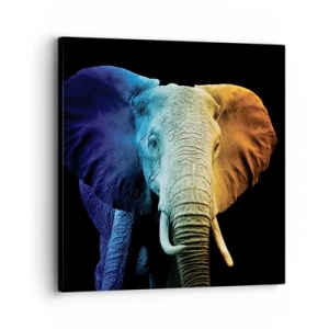 Quadro su tela - Stampe su Tela - Eccentrico, non strano - 30x30 cm