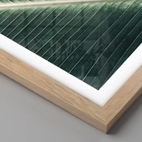 Rovere chiaro