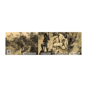 Campione Di Fotomurale Standard Eco - Viaggio alla fonte - Giungla, Amazzonia, Tropici - 100x30 cm