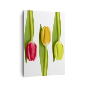 Quadro su tela - Stampe su Tela - Tulipani multicolori disposti in fila su uno sfondo bianco - 70x100cm - Composizione arcobaleno - Decorazione murale moderna per soggiorno e camera da letto ARTTOR