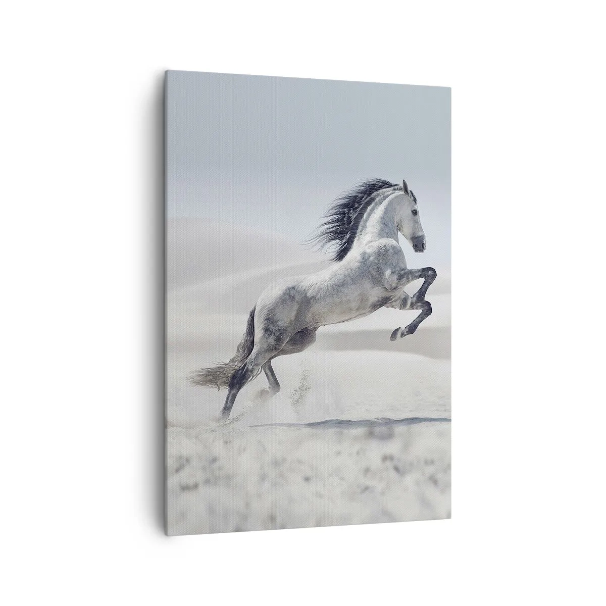 Quadro su tela - Stampe su Tela - Un cavallo bianco al galoppo sullo sfondo delle dune del deserto - 70x100cm - Il principe arabo - Decorazione murale moderna per soggiorno e camera da letto ARTTOR