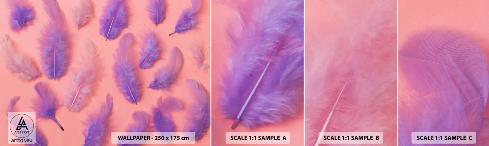 Campione Di Fotomurale Standard Eco - L'uccello lilla del desiderio - Piuma di uccello, Ispirazione, Grafica - 100x30 cm