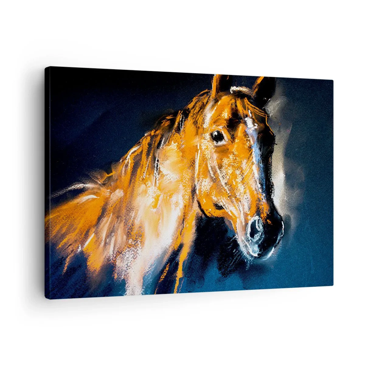 Quadro su tela - Stampe su Tela - Allora, andiamo? - 70x50 cm