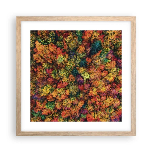 Poster in cornice rovere chiaro - Il bouquet degli alberi d'autunno - 40x40 cm