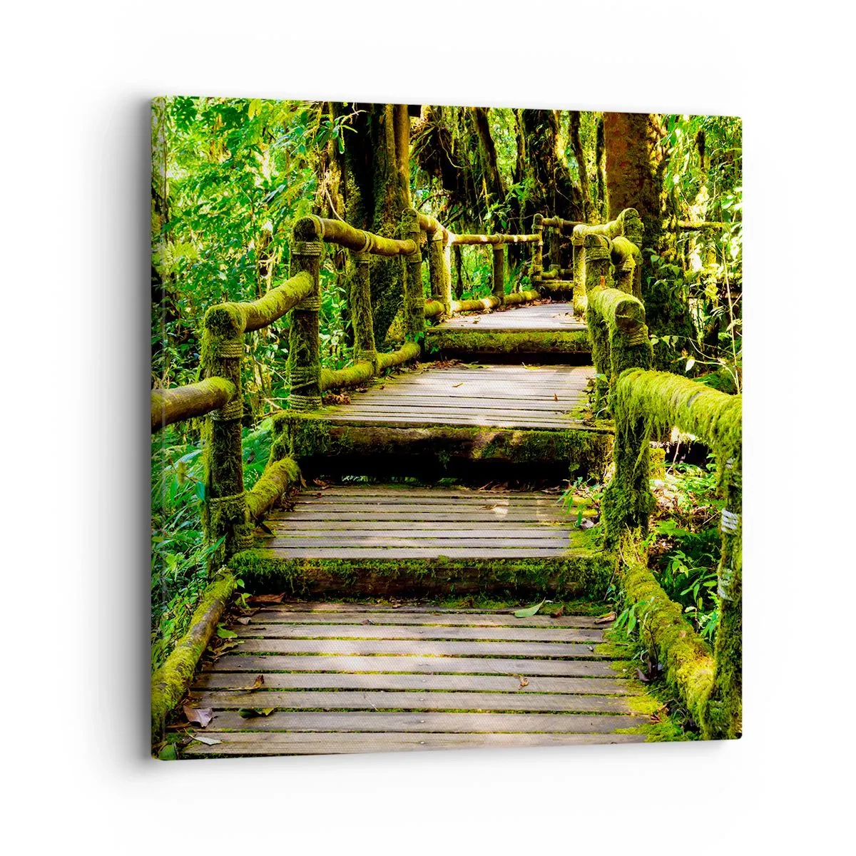 Quadro su tela - Stampe su Tela - Un corridoio nel verde - 30x30 cm