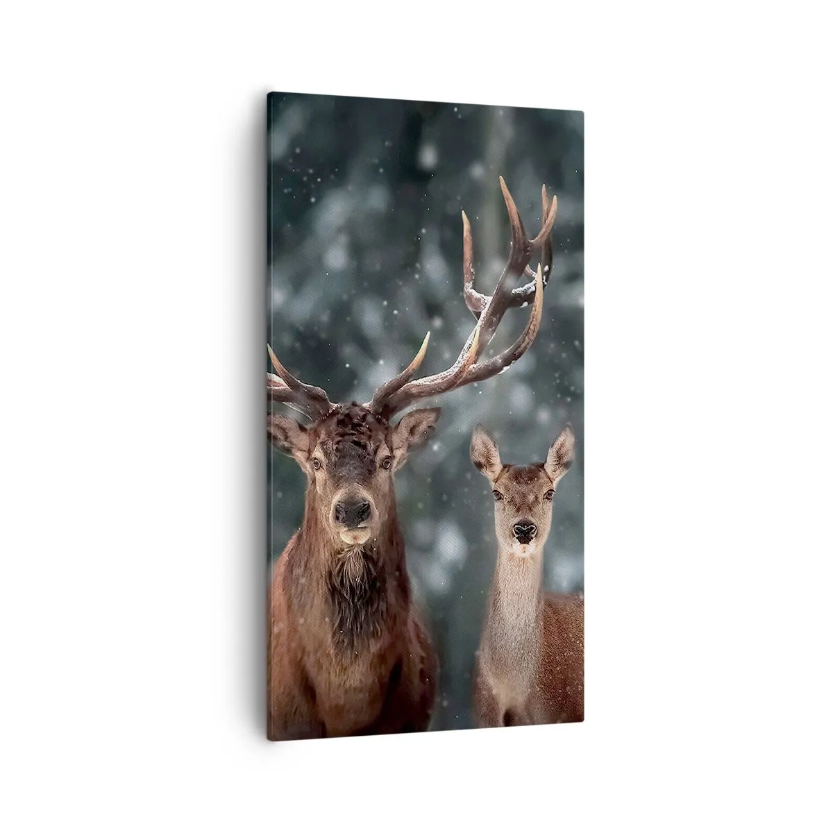 Quadro su tela - Stampe su Tela - Il re della foresta con la consorte - 55x100 cm