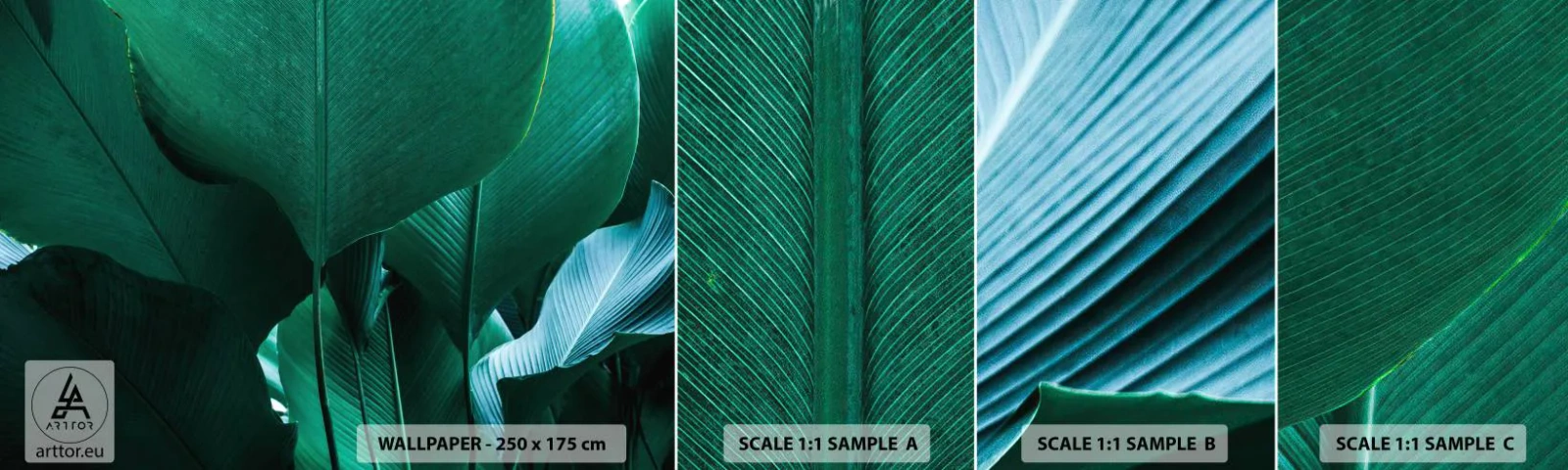 Campione Di Fotomurale Standard Eco - Verso la luce - Foglia di banana, Albero di banane, Pianta - 100x30 cm