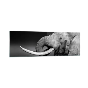 Quadro su vetro - Ritratto in bianco e nero di un elefante di profilo - 160x50cm - Si, adesso va bene - Decorazione murale moderna per soggiorno e camera da letto ARTTOR