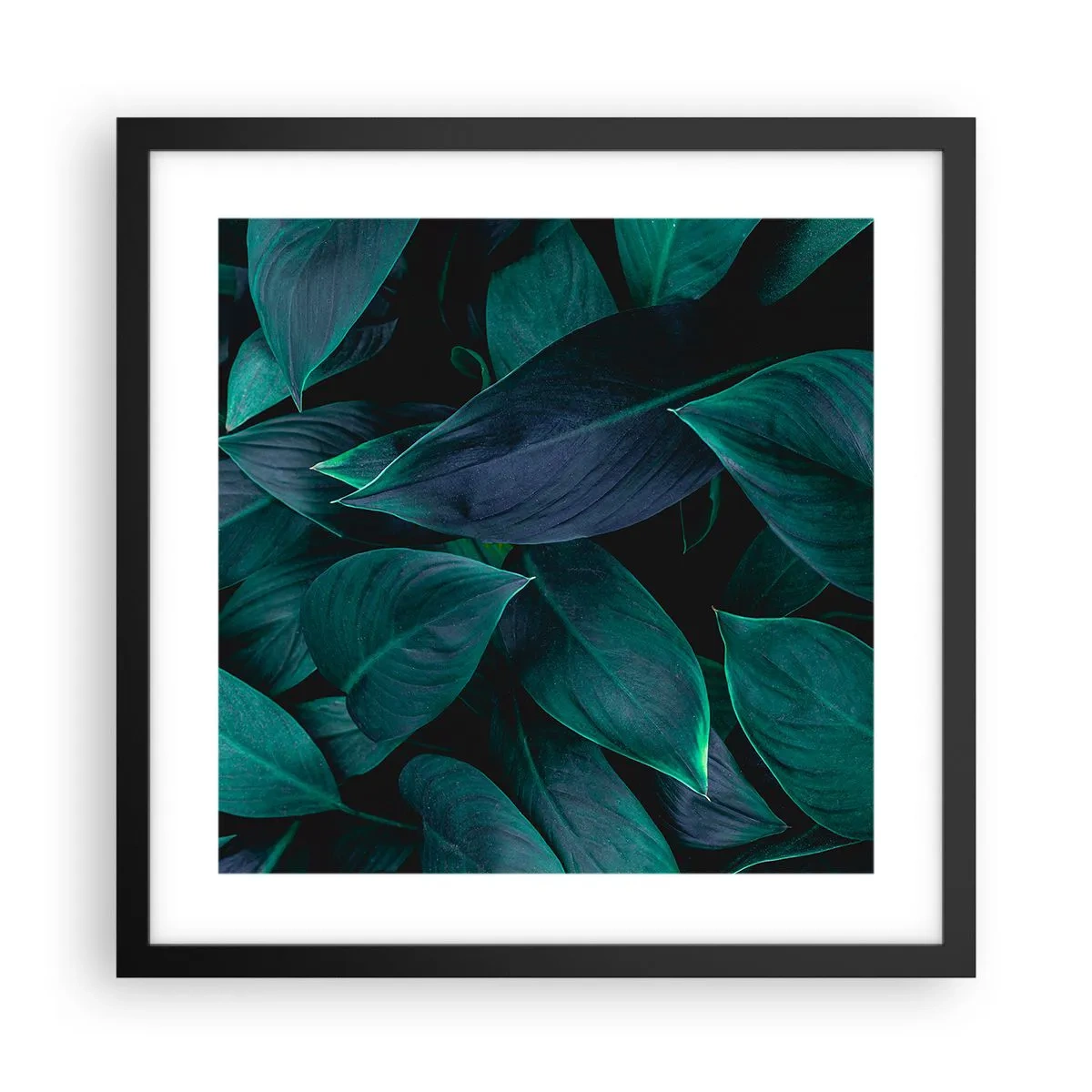 Poster in cornice nera - Il verde puro - 40x40 cm