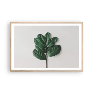 Poster in cornice rovere chiaro - Il disegno della natura stessa - 91x61 cm