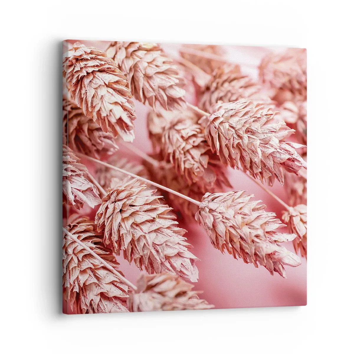 Quadro su tela - Stampe su Tela - Cascata di fiori in rosa - 30x30 cm