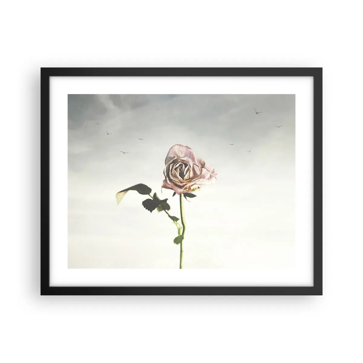 Poster in cornice nera - Il benvenuto alla primavera - 50x40 cm