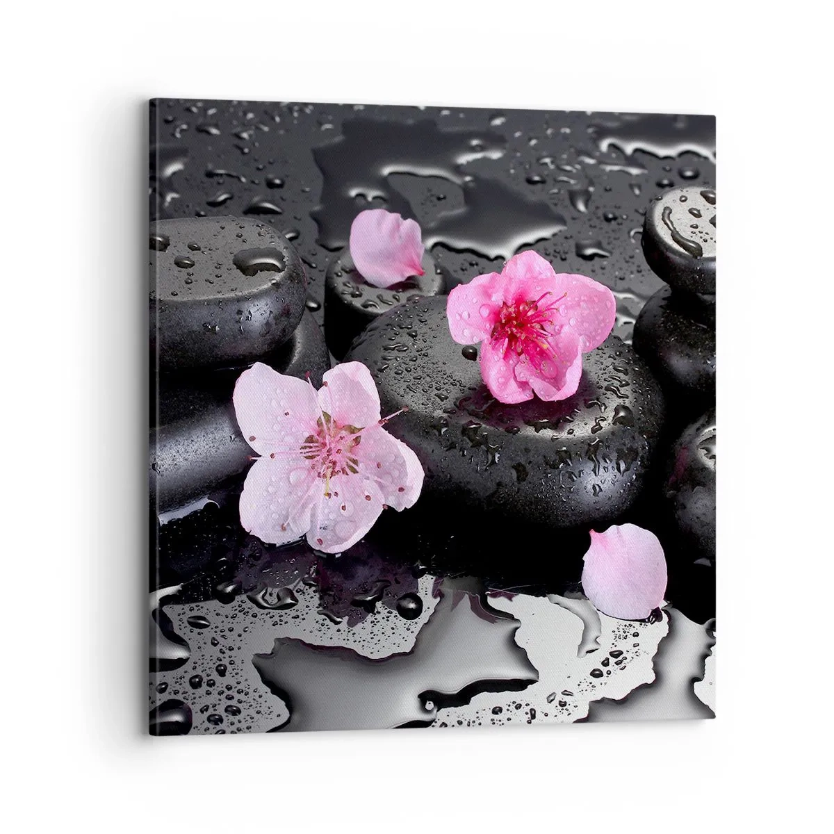 Quadro su tela - Stampe su Tela - E il cuore si libera di un peso - 70x70 cm