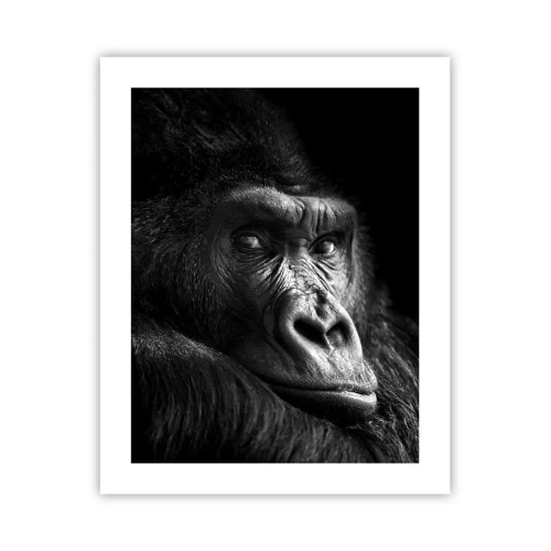 Poster - E cosa guardi? - 40x50 cm