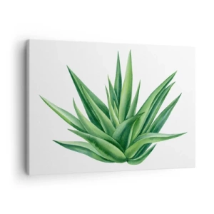 Quadro su tela - Stampe su Tela - Una pianta verde succosa su uno sfondo bianco - 70x50cm - Verde - forza - vita - Decorazione murale moderna per soggiorno e camera da letto ARTTOR