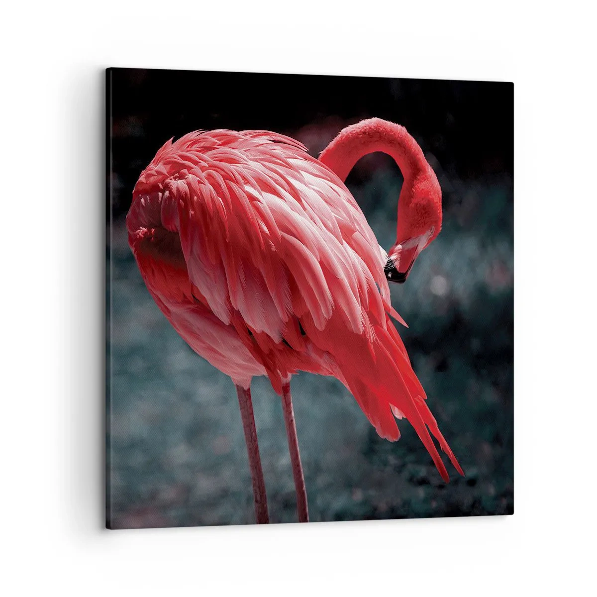 Quadro su tela - Stampe su Tela - La poesia cremisi della natura - 50x50 cm