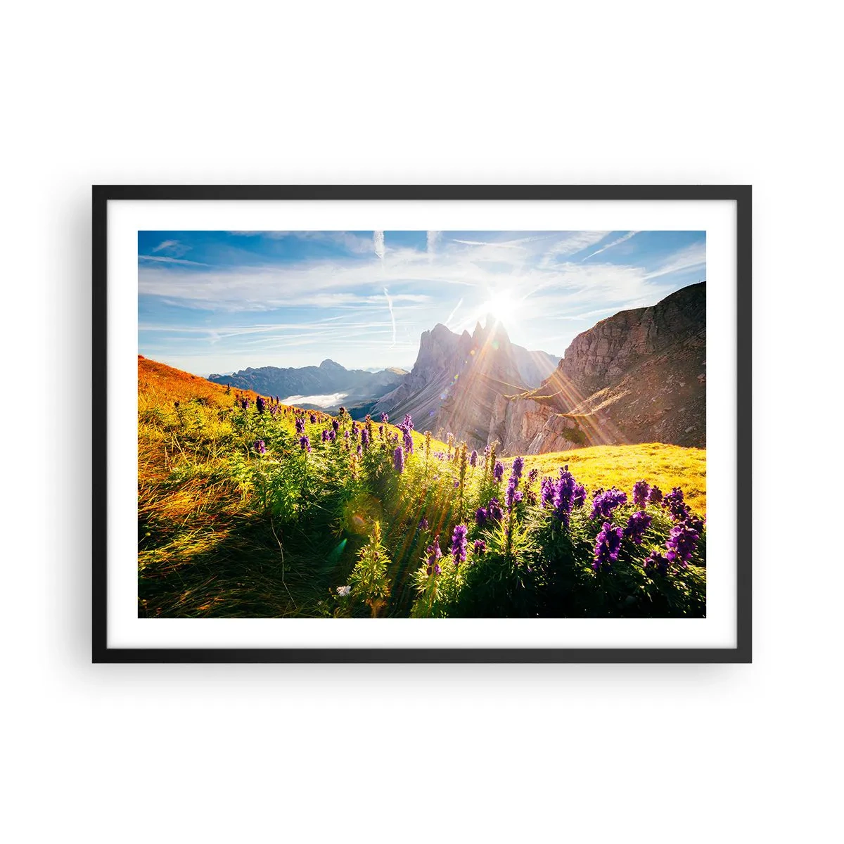 Poster in cornice nera - Paesaggio montano con fiori alla luce del sole nascente - 70x50cm - La vita segreta delle erbe - Decorazione murale moderna per soggiorno e camera da letto ARTTOR