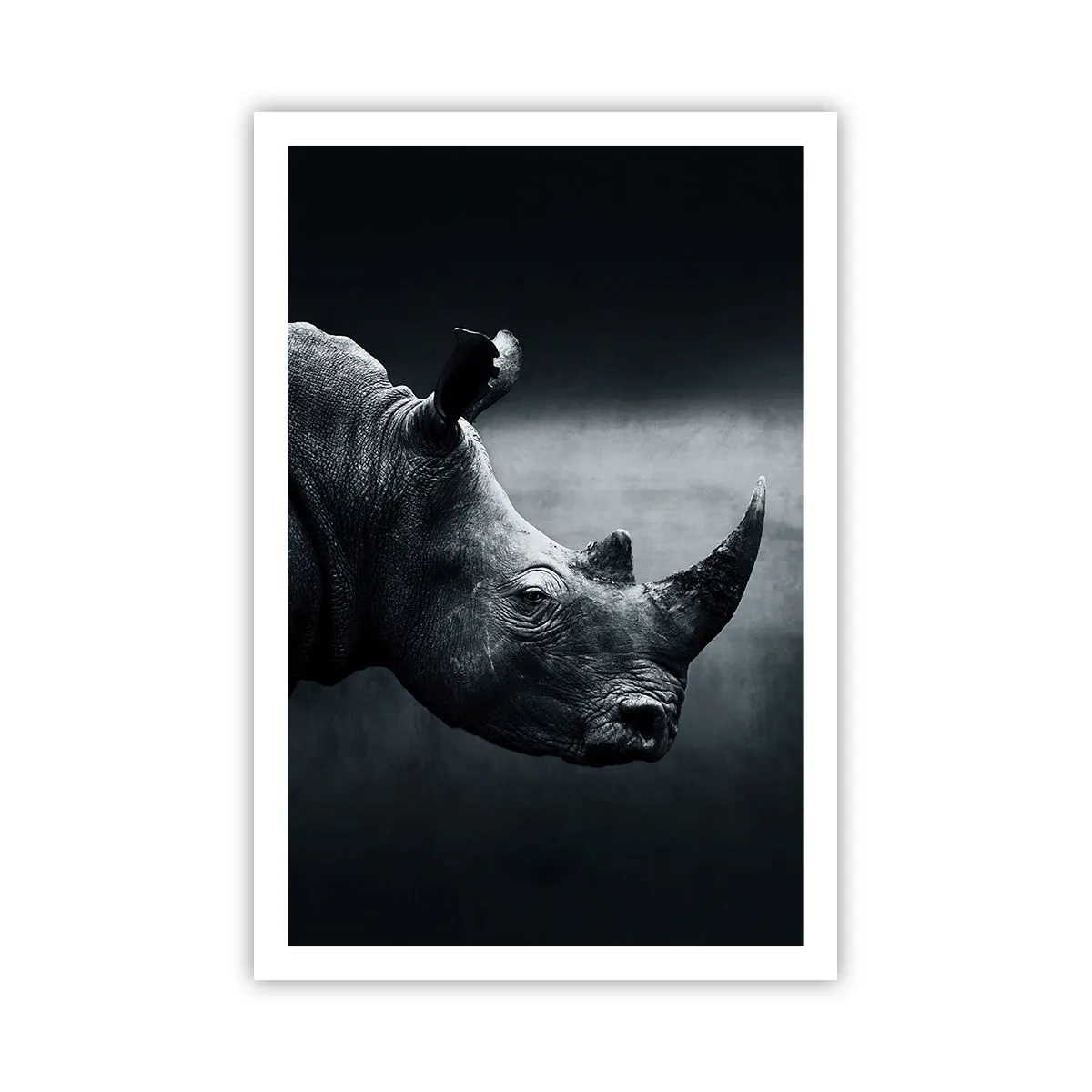 Poster - Profilo destro - 61x91 cm