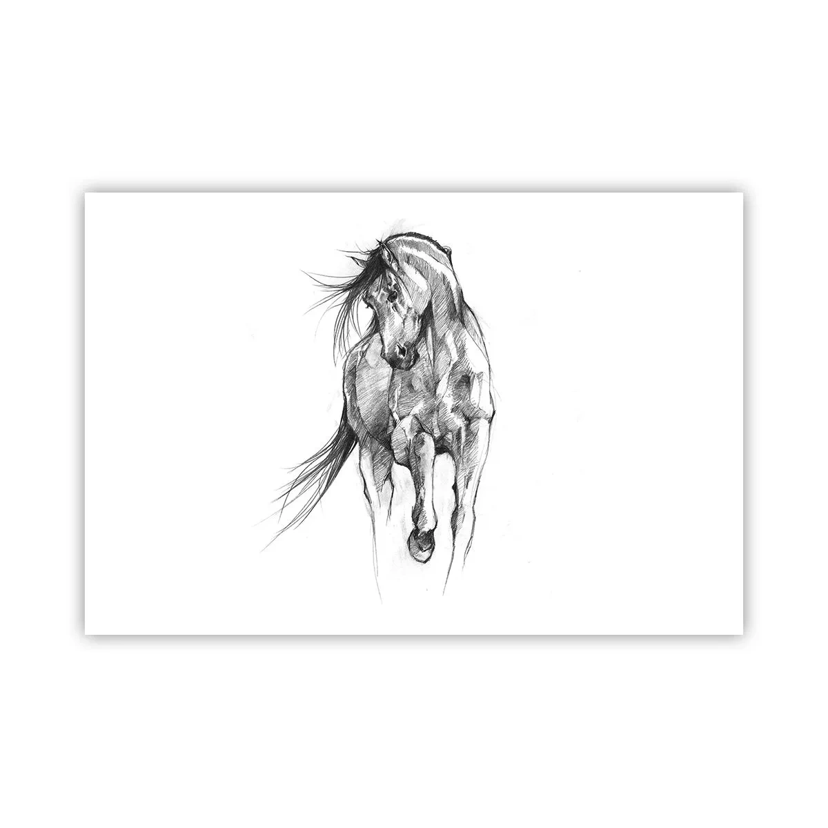 Poster - Trotto aggraziato - 91x61 cm