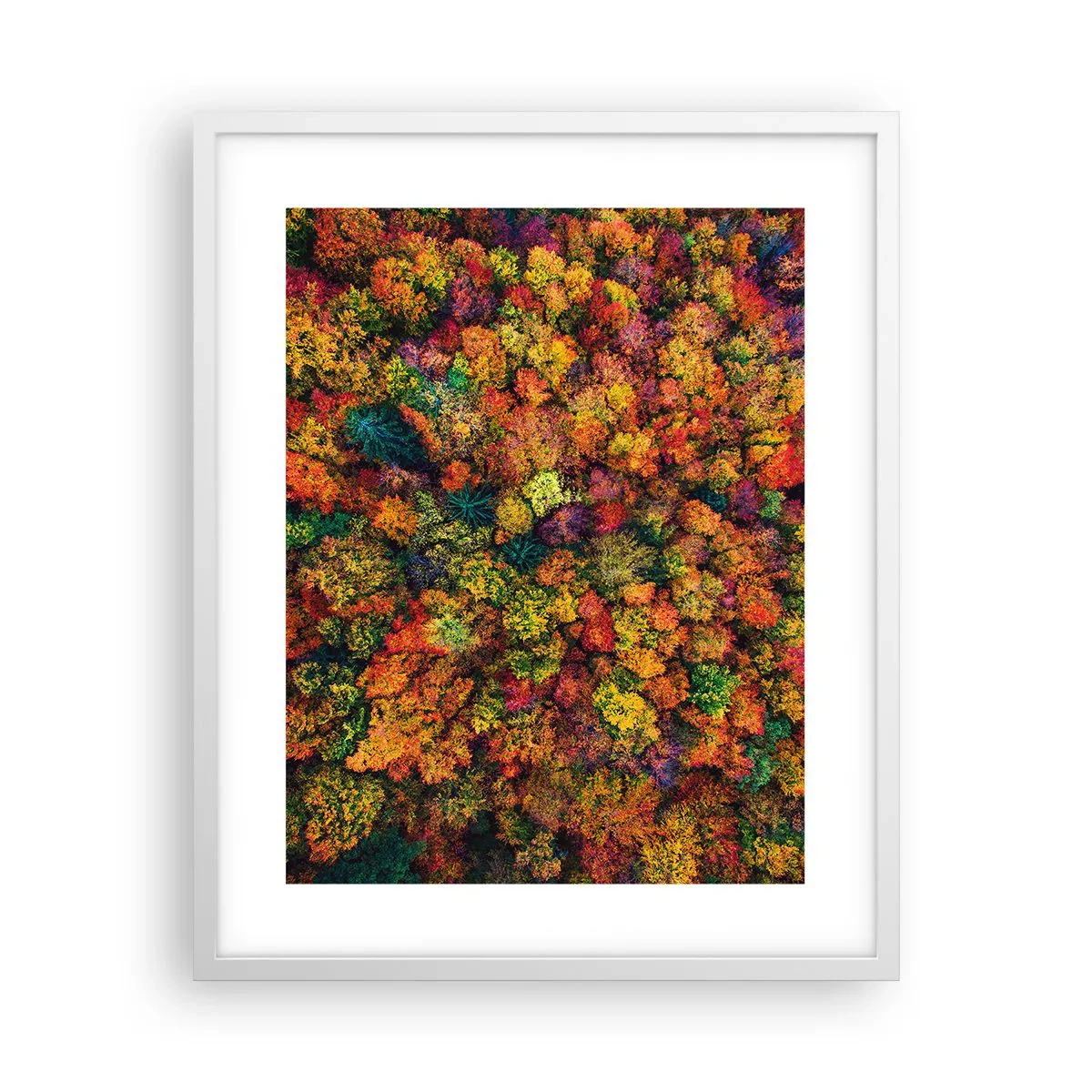 Poster in cornice bianca - Il bouquet degli alberi d'autunno - 40x50 cm