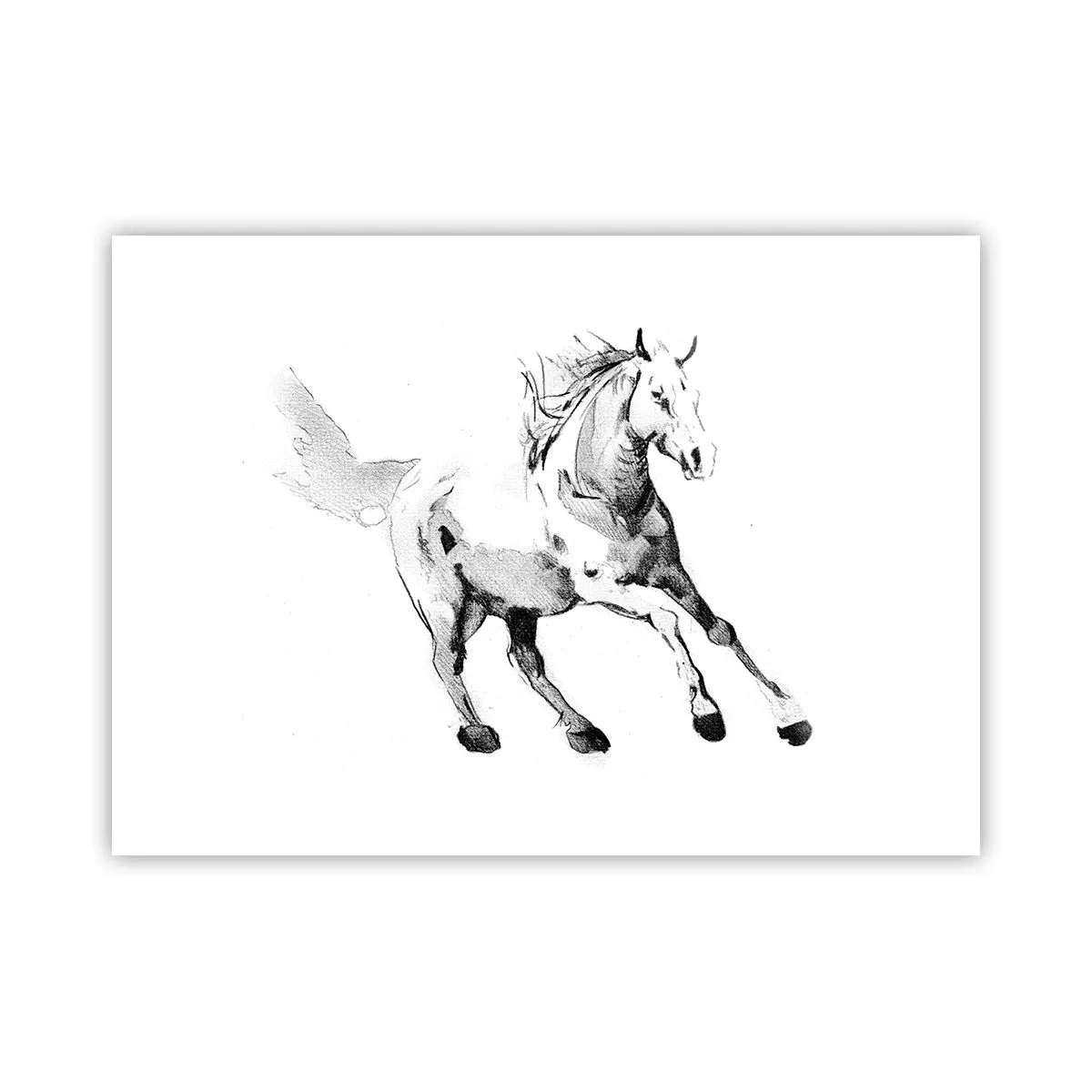 Poster - Anima indomabile - 70x50 cm